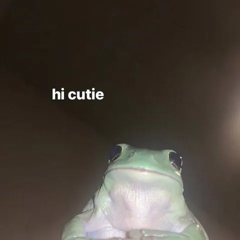 Hi Cutie Frog