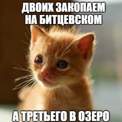 Двоих знакомаем на Битцевском