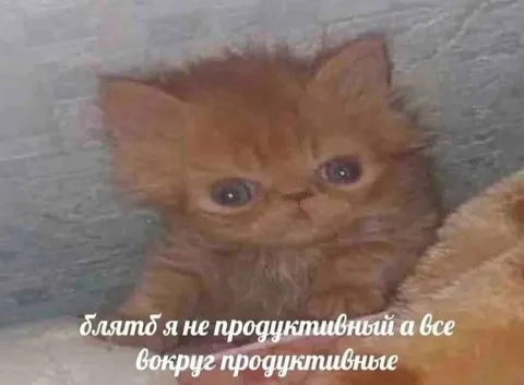 Я не продуктивный