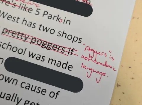 Poggers Is Not Academic Language