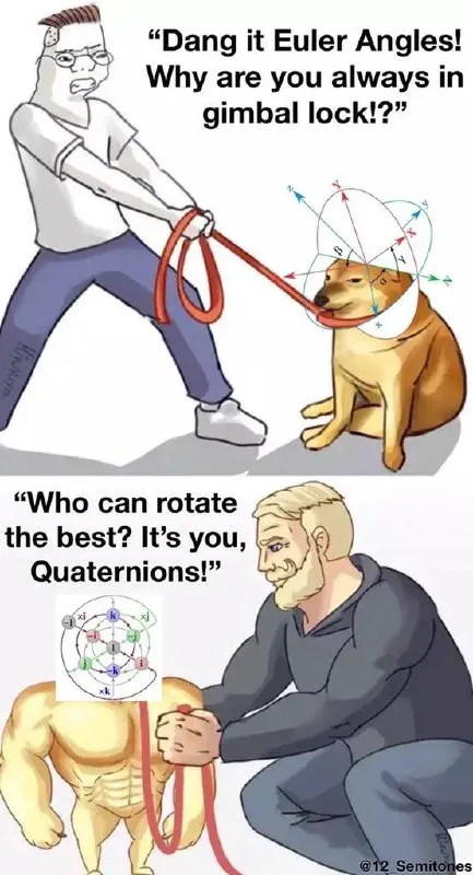 Euler Angles Versus Quaternions