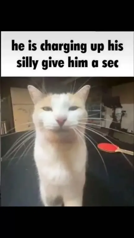 Cat Charging Up