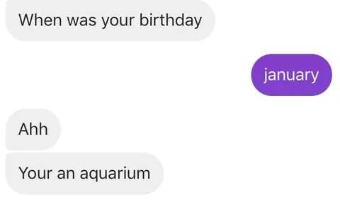 Your an aquarium