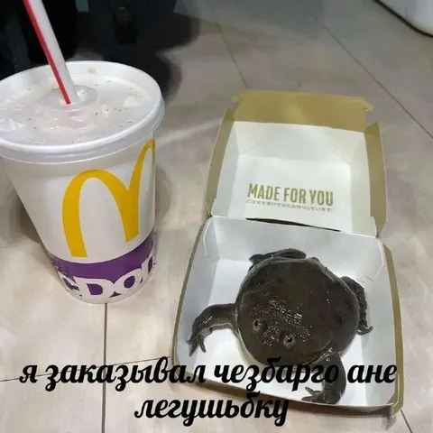 Чизбургер и лягушьбока
