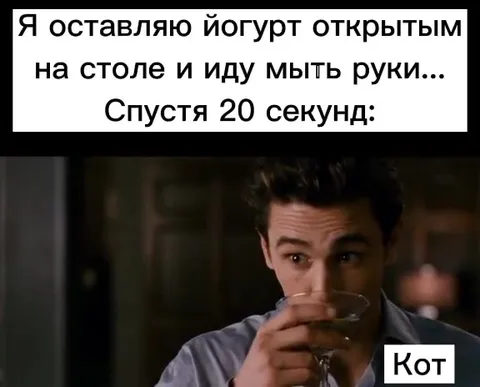 Кот съел открытый йогурт