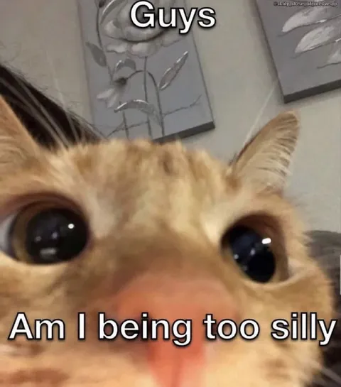 Am I Being Too Silly Cat