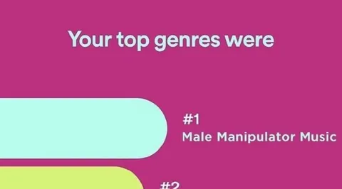 Male Manipulator Music Genres