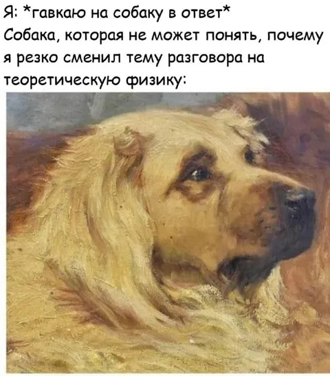 Собака не понимает физику