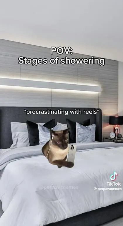 Stages of Showering
