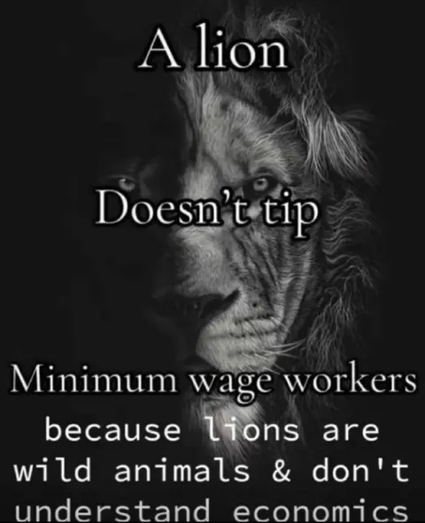 A Lion Doesn’t Tip