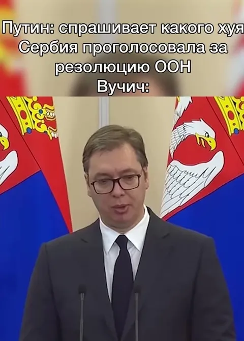 Вучич объясняет голос Сербии