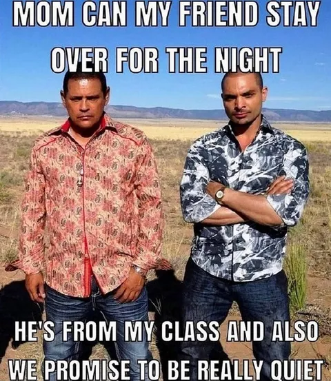 Mom Can My Friend Stay Over