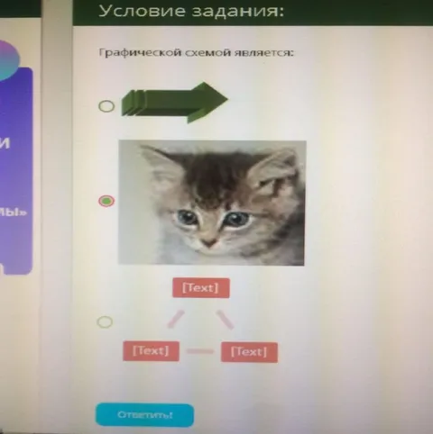 Кот вместо графической схемы