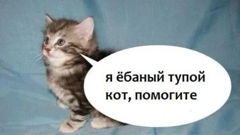Я ёбаный тупой кот