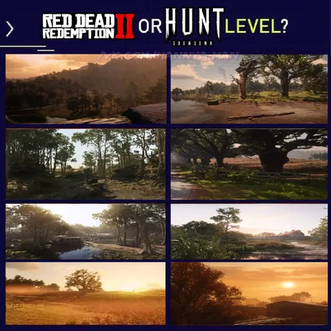 Red Dead Redemption II or Hunt Level?