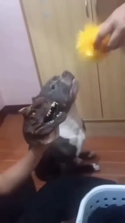 Пёс и страшный динозавр