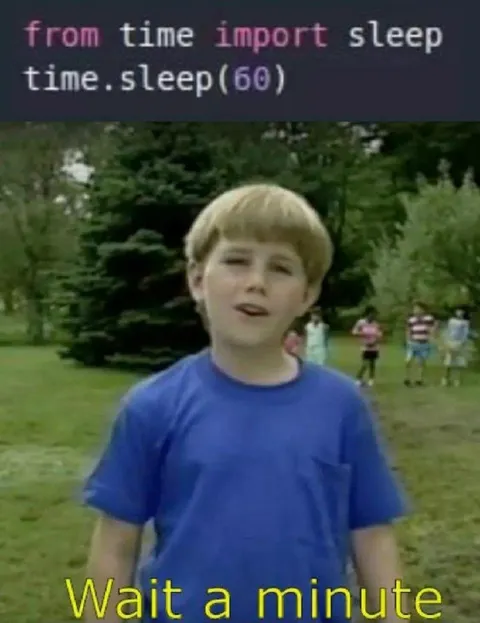 Wait a Minute Python Meme