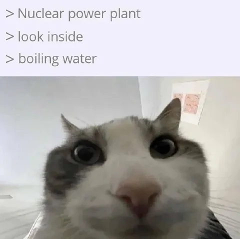 Nuclear Power Plant Boiling Water
