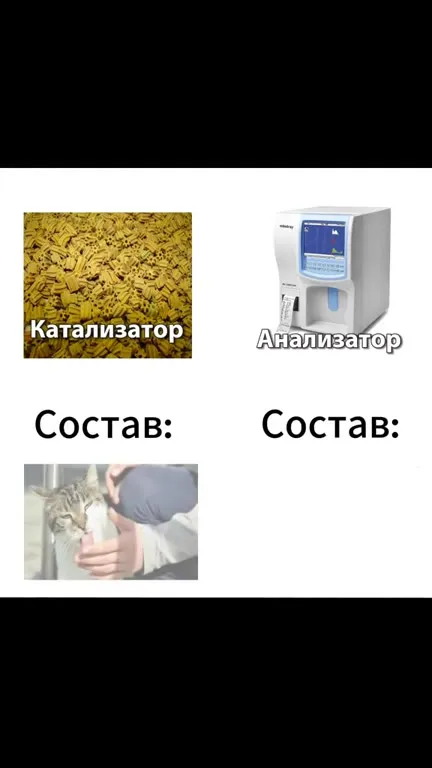 Анализатор заблокировал кота