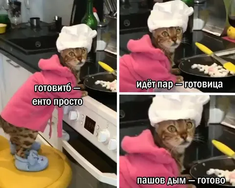 Кот-повар готовит ужин