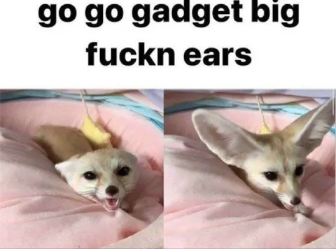 Go Go Gadget Big Fucking Ears