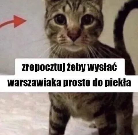Warszawiak prosto do piekła