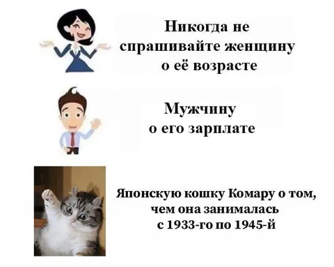 Не спрашивайте кошку о прошлом
