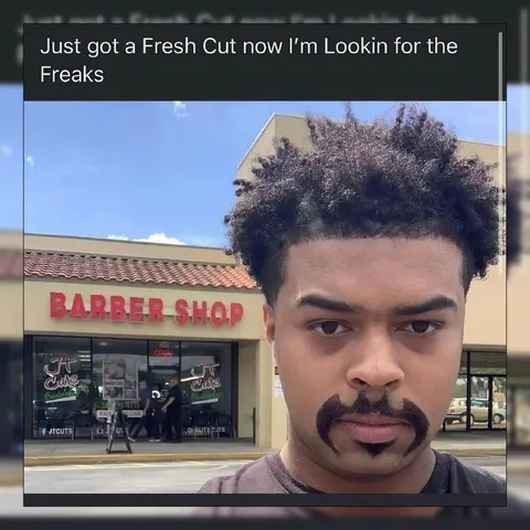 Fresh Cut Looking for Freaks