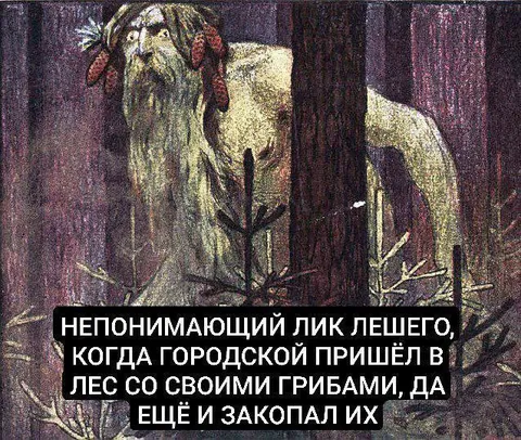 Непонимающий лик лешего