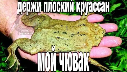 Держи плоский круассан