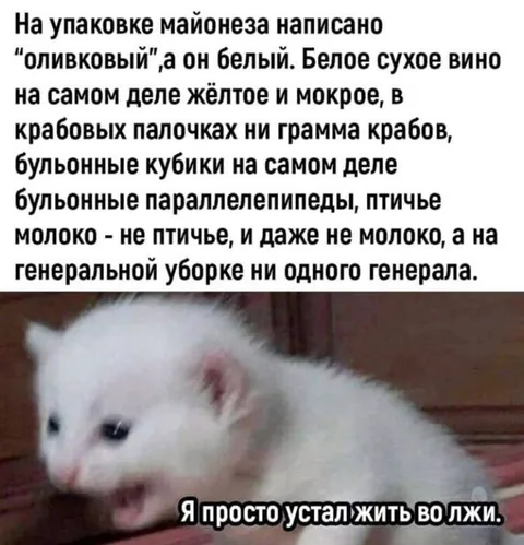 Устал жить во лжи