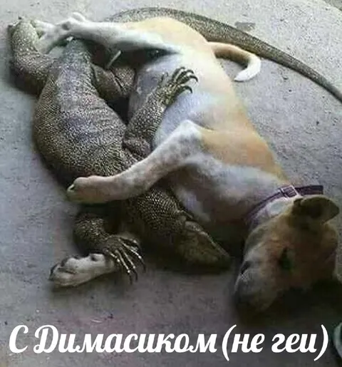 С Димасиком не гей
