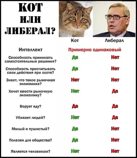 Кот или либерал: сравнение