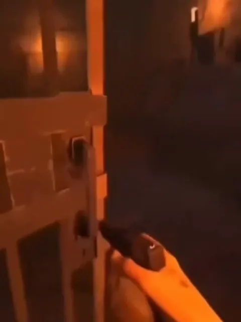 Скелет за дверью