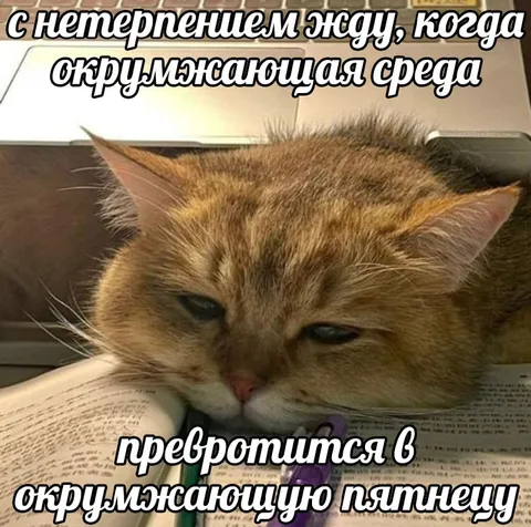 Окружающая среда станет пятницей