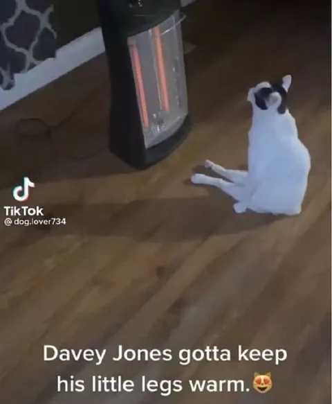 Davey Jones Keeps Warm