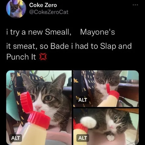 Cat Attacks Bad Mayonnaise