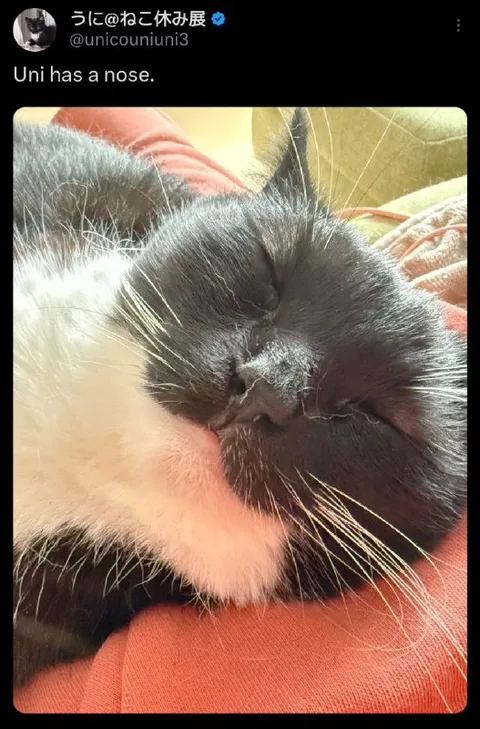 Uni Has a Nose