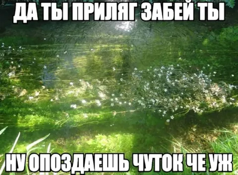 Да ты прям забей ты