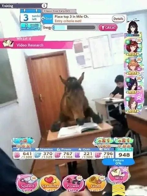 Horse Takes Over Training
