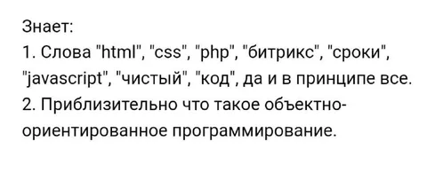 Знает всё о программировании