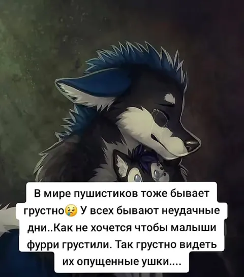 Грустные дни у пушистиков