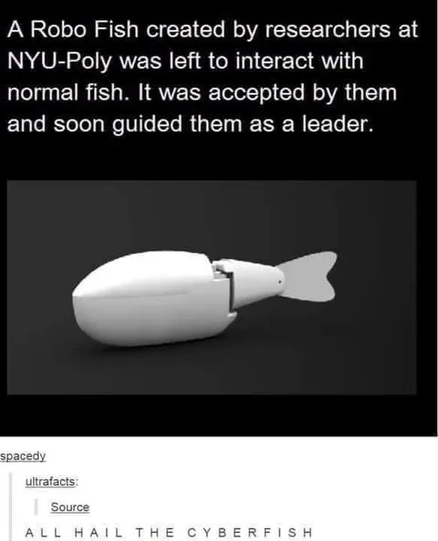 Cyberfish Leads the Fish