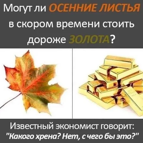 Осенние листья дороже золота