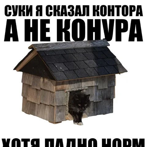 Сказал контора, а не конура