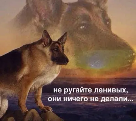 Не ругайте ленивых