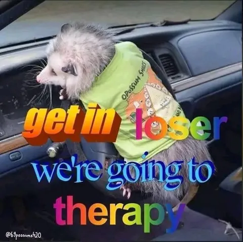 Get In Loser, We're Going to Therapy