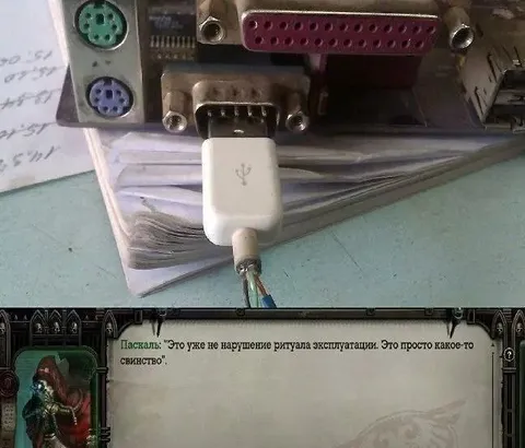 Это уже просто свинство