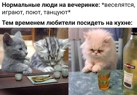 Любители посидеть на кухне
