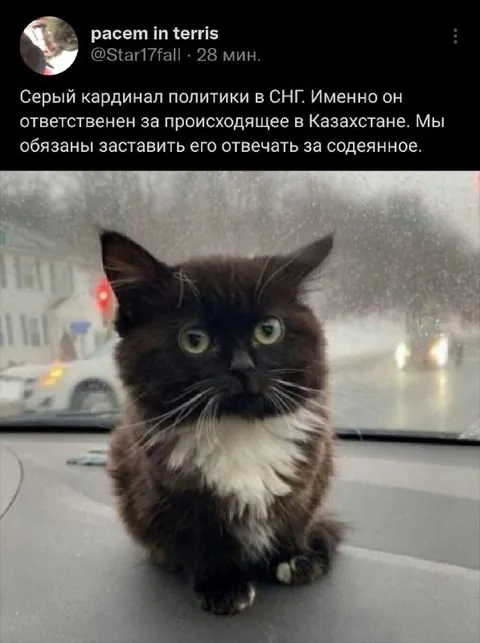 Серый кардинал политики в СНГ